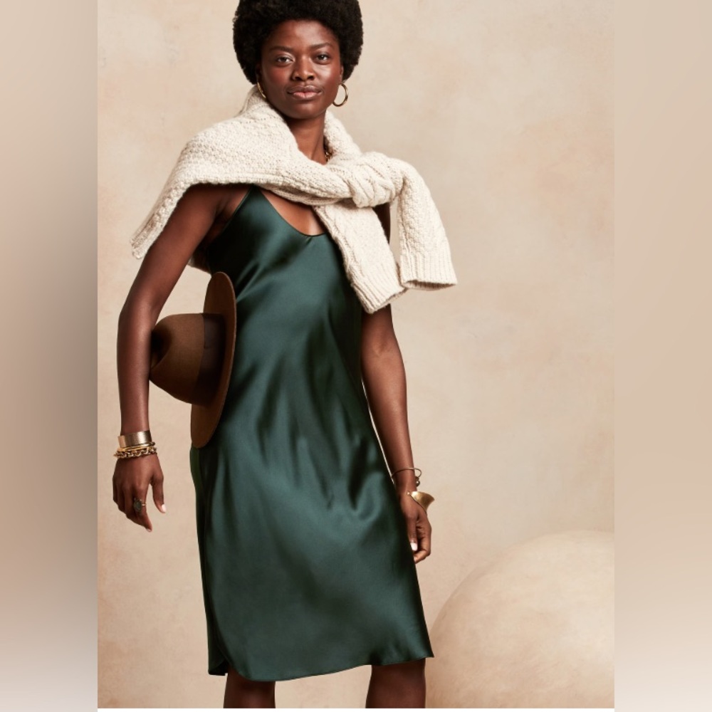 BLISS SILK DRESS NWT (Banana Republic)